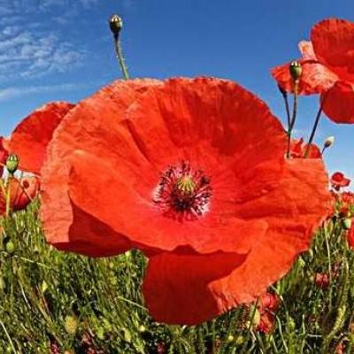 深海宝石挖掘记